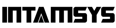 Intamsys